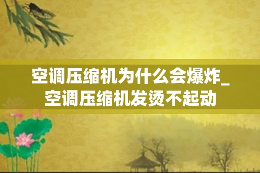 空调压缩机为什么会爆炸_空调压缩机发烫不起动