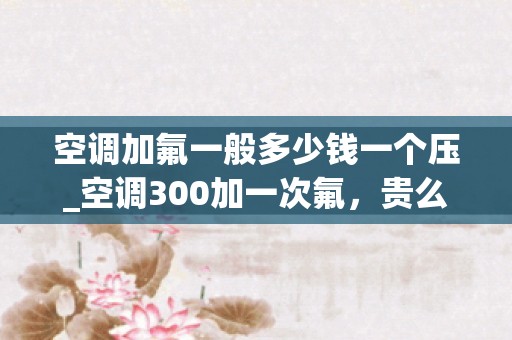 空调加氟一般多少钱一个压_空调300加一次氟，贵么？