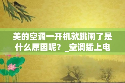 美的空调一开机就跳闸了是什么原因呢？_空调插上电源就跳闸有几种原因