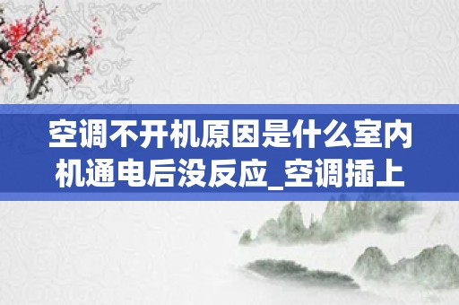 空调不开机原因是什么室内机通电后没反应_空调插上电源没有反应是怎么回事？