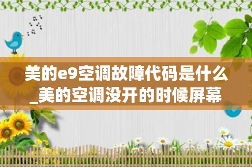 美的e9空调故障代码是什么_美的空调没开的时候屏幕出现E9是什么意思