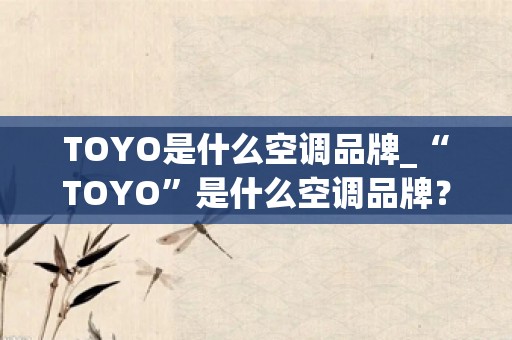TOYO是什么空调品牌_“TOYO”是什么空调品牌？