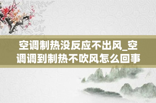 空调制热没反应不出风_空调调到制热不吹风怎么回事