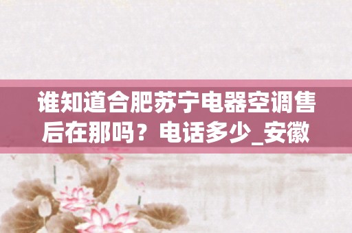 谁知道合肥苏宁电器空调售后在那吗？电话多少_安徽叶集有修货车空调的地方吗