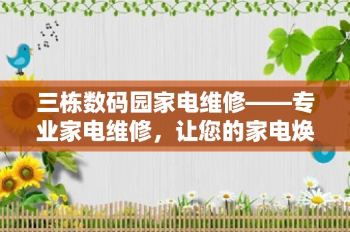 三栋数码园家电维修——专业家电维修，让您的家电焕发新生