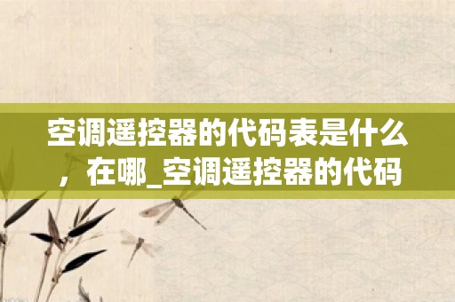 空调遥控器的代码表是什么，在哪_空调遥控器的代码是多少？_1