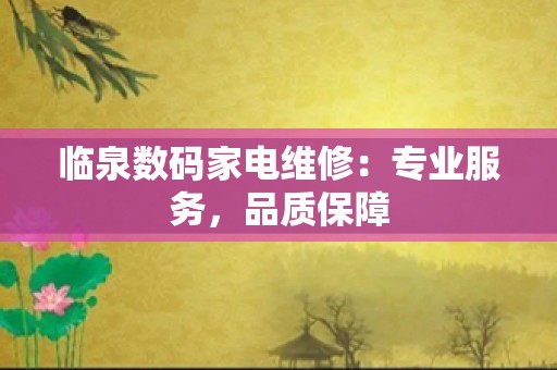 临泉数码家电维修：专业服务，品质保障