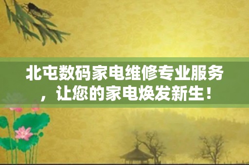 北屯数码家电维修专业服务，让您的家电焕发新生！