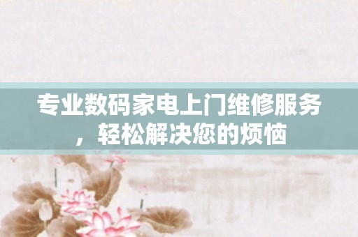 专业数码家电上门维修服务，轻松解决您的烦恼