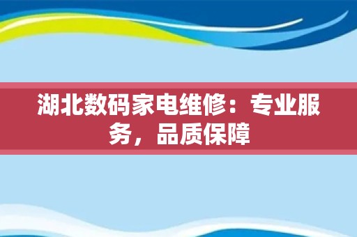 湖北数码家电维修：专业服务，品质保障