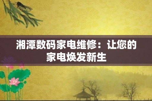 湘潭数码家电维修：让您的家电焕发新生