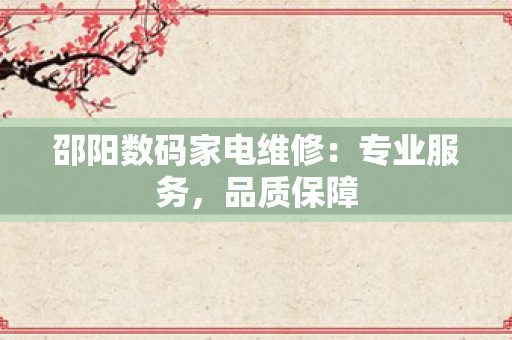 邵阳数码家电维修：专业服务，品质保障