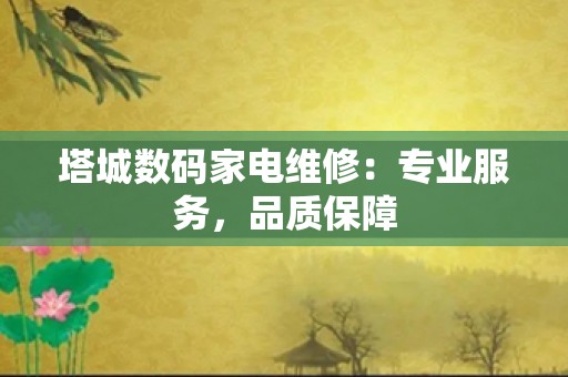 塔城数码家电维修：专业服务，品质保障