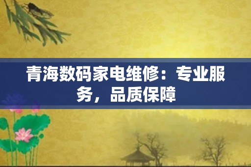 青海数码家电维修：专业服务，品质保障