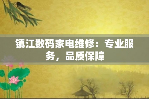 镇江数码家电维修：专业服务，品质保障