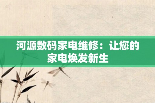 河源数码家电维修：让您的家电焕发新生