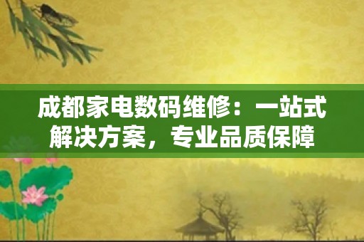 成都家电数码维修：一站式解决方案，专业品质保障
