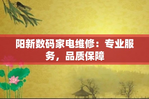 阳新数码家电维修：专业服务，品质保障