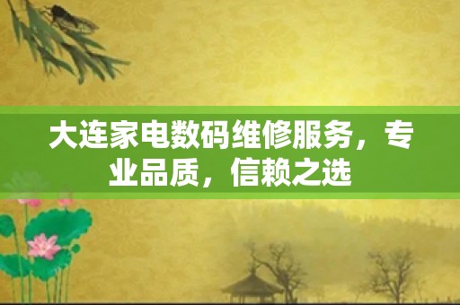 大连家电数码维修服务，专业品质，信赖之选