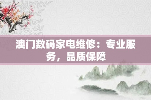 澳门数码家电维修：专业服务，品质保障