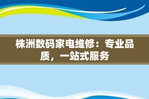 株洲数码家电维修：专业品质，一站式服务