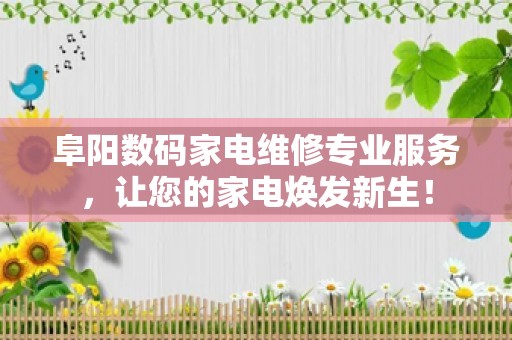 阜阳数码家电维修专业服务，让您的家电焕发新生！