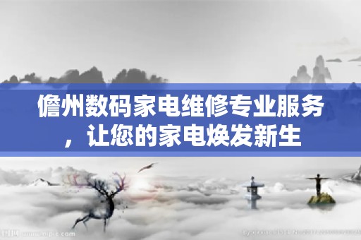 儋州数码家电维修专业服务，让您的家电焕发新生