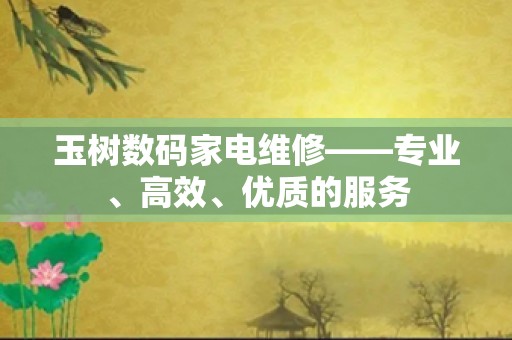 玉树数码家电维修——专业、高效、优质的服务