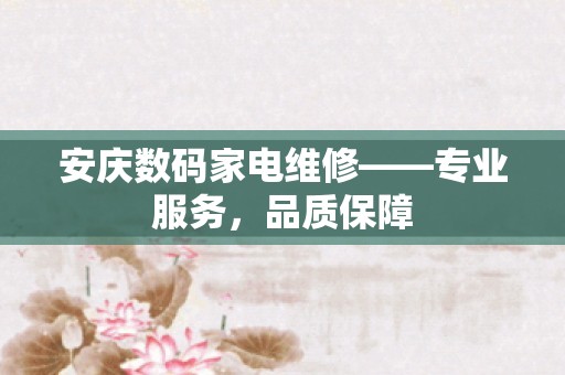 安庆数码家电维修——专业服务，品质保障