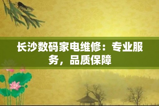 长沙数码家电维修：专业服务，品质保障