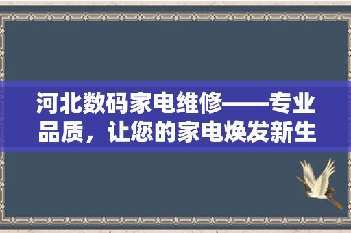 河北数码家电维修——专业品质，让您的家电焕发新生