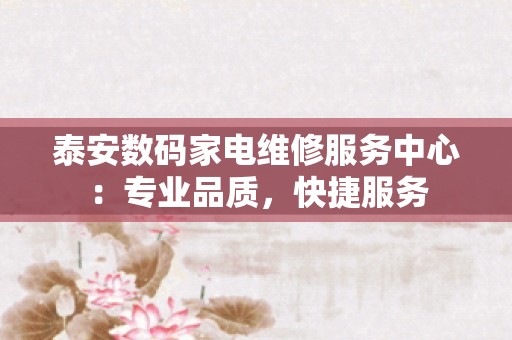泰安数码家电维修服务中心：专业品质，快捷服务