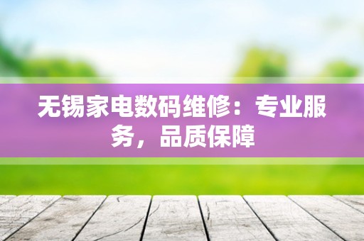 无锡家电数码维修：专业服务，品质保障