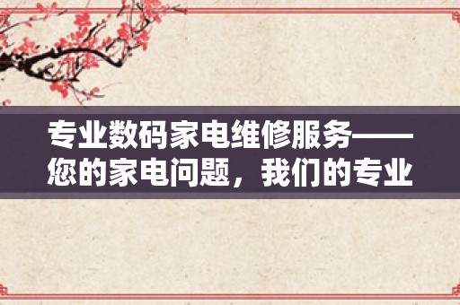 专业数码家电维修服务——您的家电问题，我们的专业解决