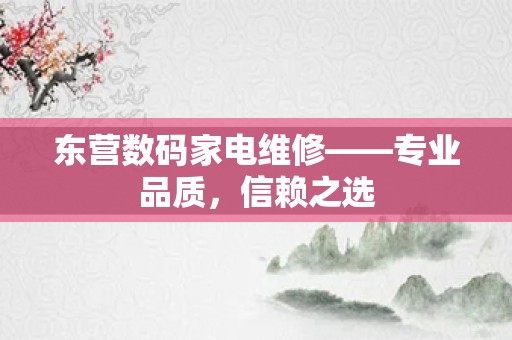 东营数码家电维修——专业品质，信赖之选