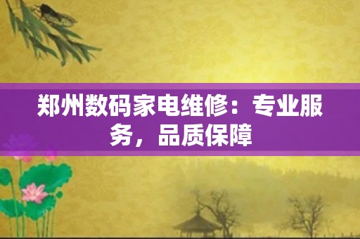 郑州数码家电维修：专业服务，品质保障