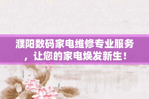 濮阳数码家电维修专业服务，让您的家电焕发新生！