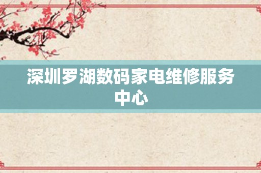 深圳罗湖数码家电维修服务中心