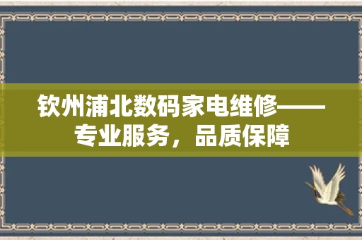 钦州浦北数码家电维修——专业服务，品质保障