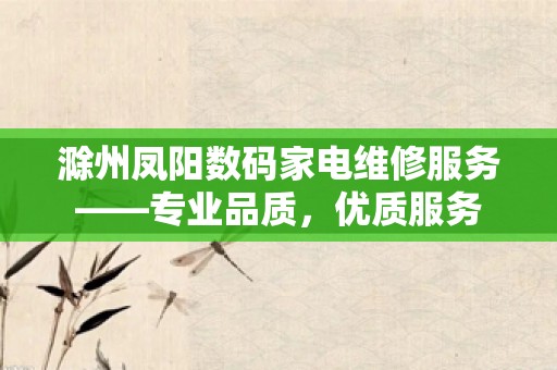 滁州凤阳数码家电维修服务——专业品质，优质服务