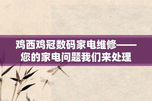 鸡西鸡冠数码家电维修——您的家电问题我们来处理
