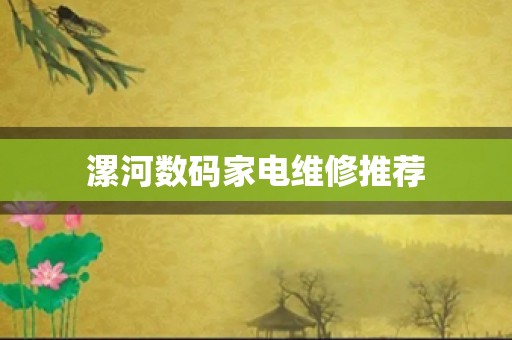 漯河数码家电维修推荐