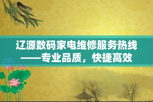 辽源数码家电维修服务热线——专业品质，快捷高效