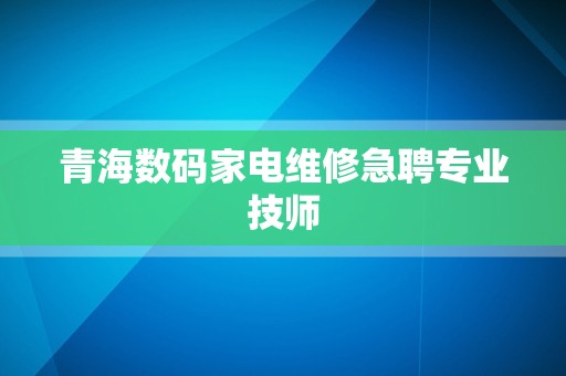 青海数码家电维修急聘专业技师