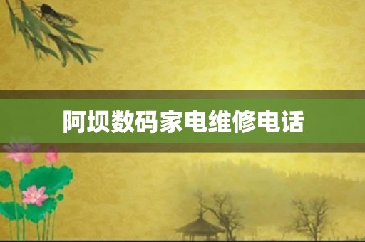 阿坝数码家电维修电话