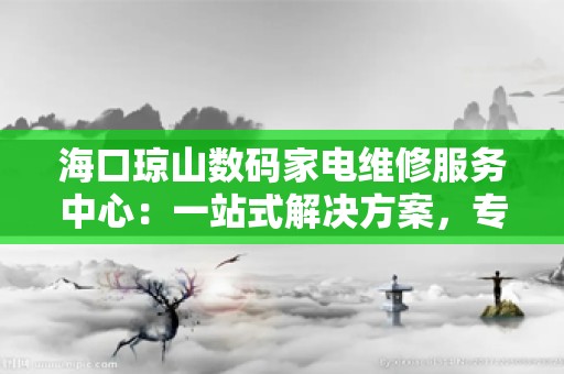 海口琼山数码家电维修服务中心：一站式解决方案，专业品质保障
