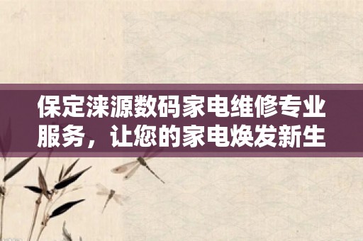 保定涞源数码家电维修专业服务，让您的家电焕发新生