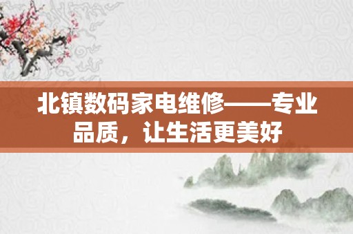 北镇数码家电维修——专业品质，让生活更美好