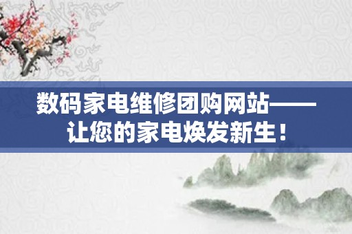 数码家电维修团购网站——让您的家电焕发新生！