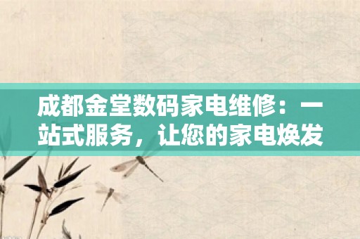 成都金堂数码家电维修：一站式服务，让您的家电焕发新生